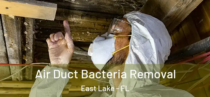  Air Duct Bacteria Removal East Lake - FL