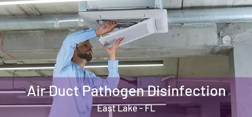  Air Duct Pathogen Disinfection East Lake - FL