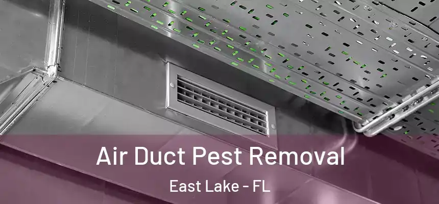  Air Duct Pest Removal East Lake - FL