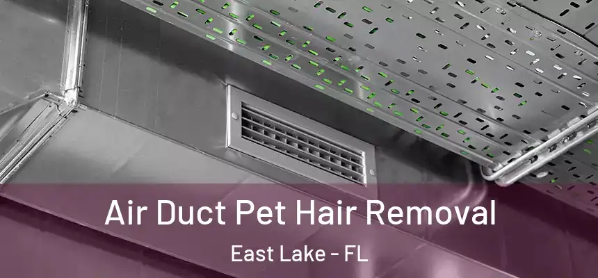  Air Duct Pet Hair Removal East Lake - FL