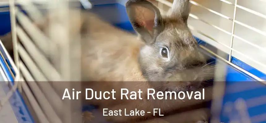  Air Duct Rat Removal East Lake - FL