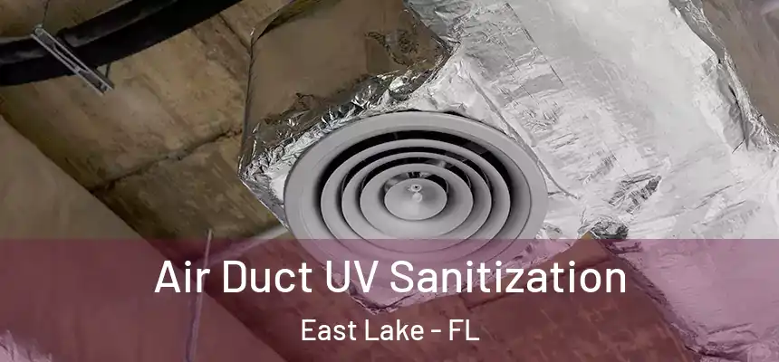  Air Duct UV Sanitization East Lake - FL