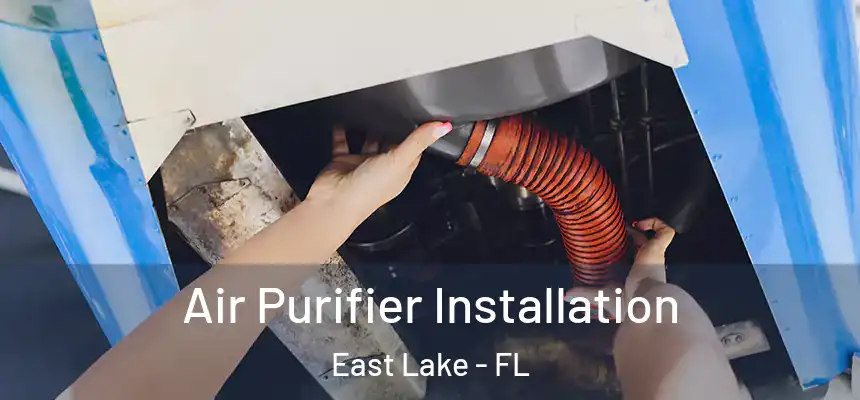  Air Purifier Installation East Lake - FL