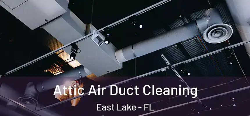  Attic Air Duct Cleaning East Lake - FL