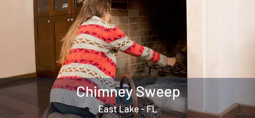  Chimney Sweep East Lake - FL