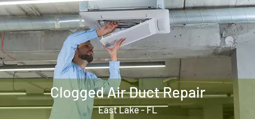  Clogged Air Duct Repair East Lake - FL