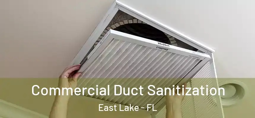  Commercial Duct Sanitization East Lake - FL