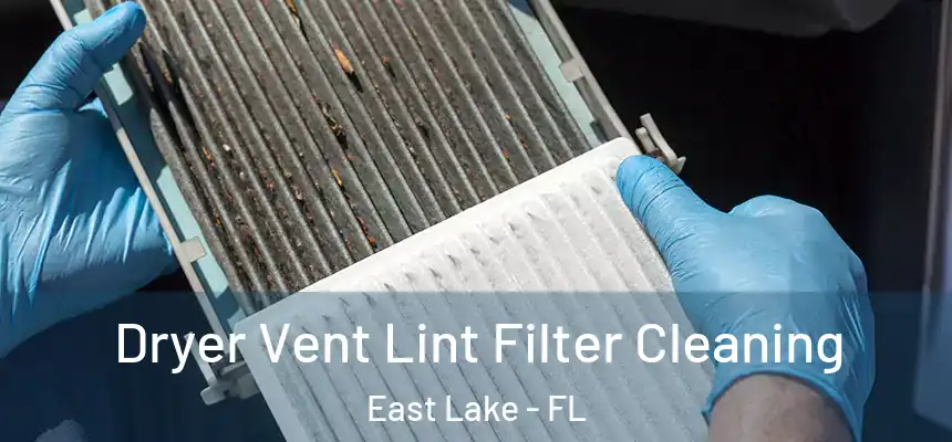  Dryer Vent Lint Filter Cleaning East Lake - FL