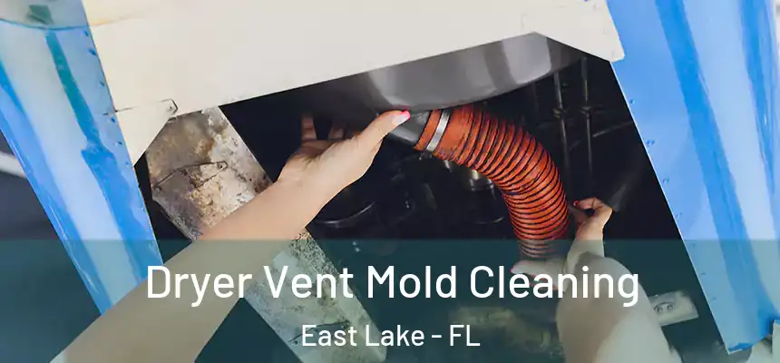  Dryer Vent Mold Cleaning East Lake - FL