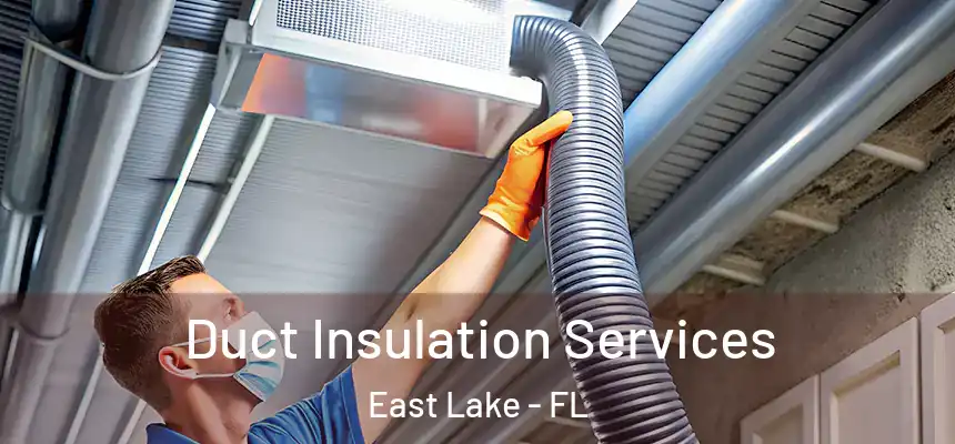  Duct Insulation Services East Lake - FL