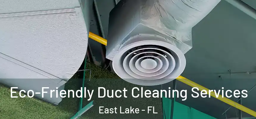  Eco-Friendly Duct Cleaning Services East Lake - FL