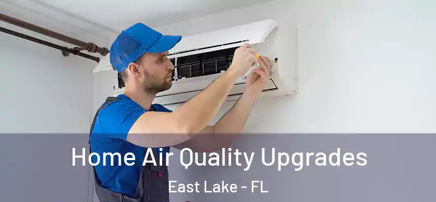  Home Air Quality Upgrades East Lake - FL