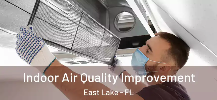  Indoor Air Quality Improvement East Lake - FL