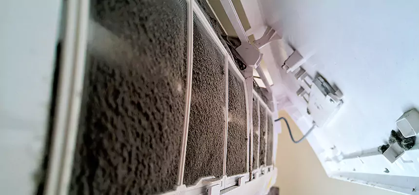 Preventive Air Duct Bacteria Removal in East Lake