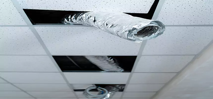 Our Air Duct Pet Hair Removal Services in East Lake, FL