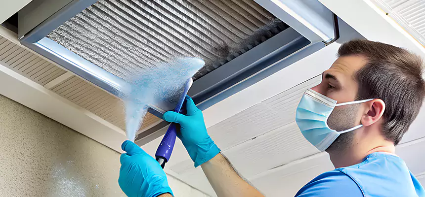 Proactive Dryer Vent & Auxiliary Duct Pollen Cleanup in East Lake, FL