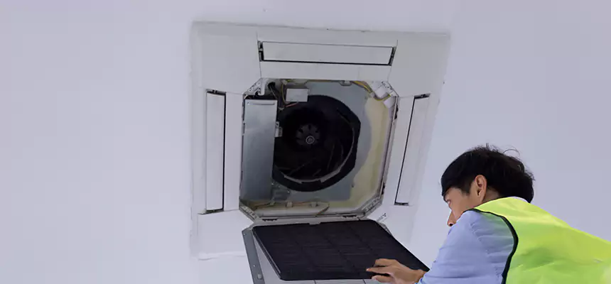 Our Dryer Vent Sanitization Service Services in East Lake, FL