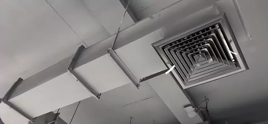 Our Pest Removal From Ducts Services in East Lake, FL