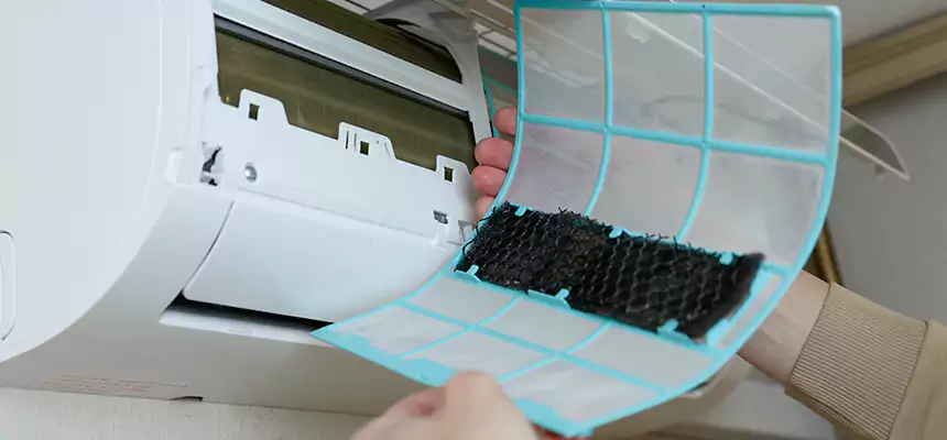 Gentle Ductwork Odor-Control Pet Dander Duct Cleaning in East Lake, FL