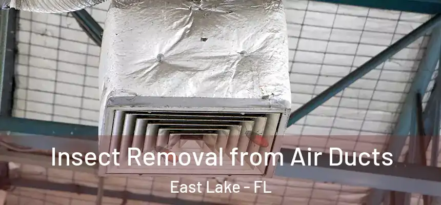  Insect Removal from Air Ducts East Lake - FL