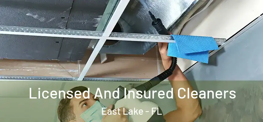  Licensed And Insured Cleaners East Lake - FL