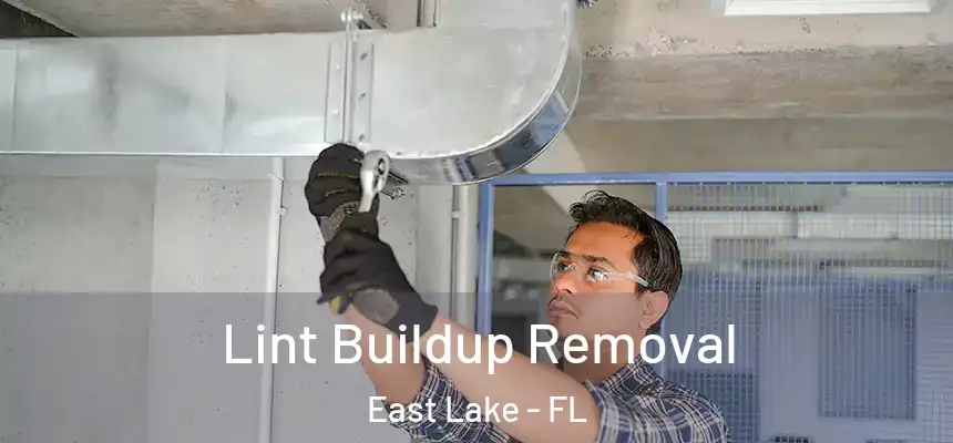 Lint Buildup Removal East Lake - FL