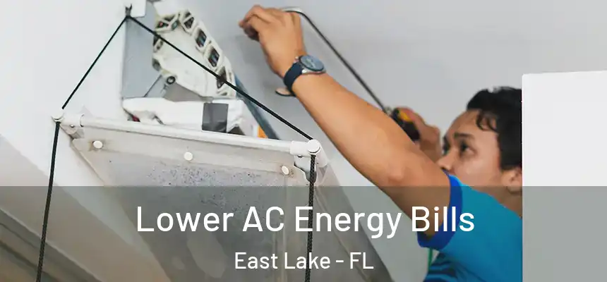 Lower AC Energy Bills East Lake - FL
