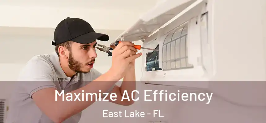  Maximize AC Efficiency East Lake - FL