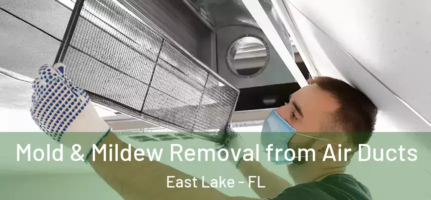  Mold & Mildew Removal from Air Ducts East Lake - FL