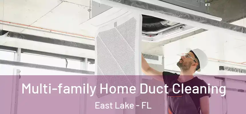  Multi-family Home Duct Cleaning East Lake - FL