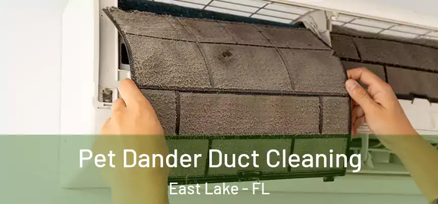  Pet Dander Duct Cleaning East Lake - FL