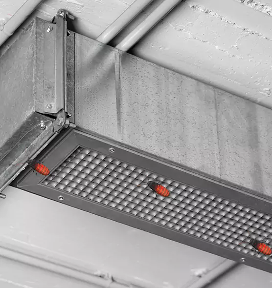 About Air Duct Cockroach Removal in East Lake, FL