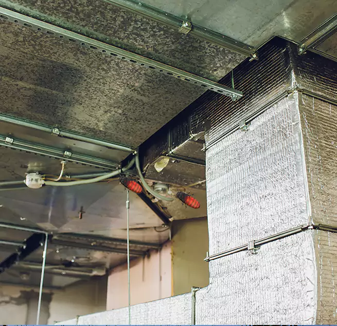 Why Homeowners & Businesses Trust Us in East Lake, FL?