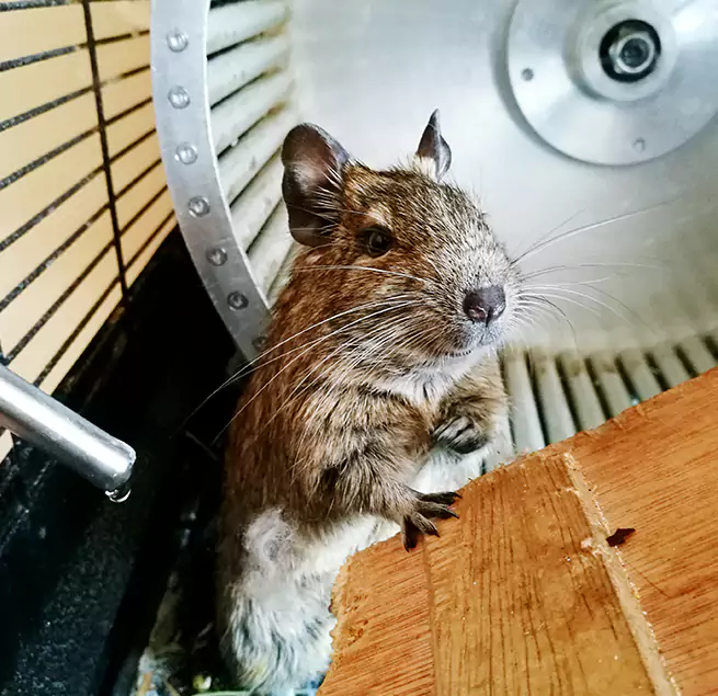 Why Homeowners & Businesses Trust Us East Lake, FL