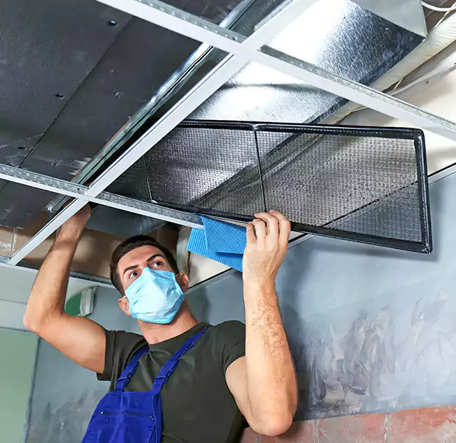 Why Homeowners Businesses Trust Us in East Lake, FL