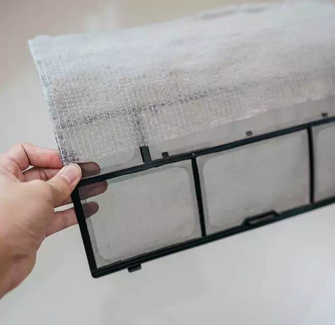 Why Homeowners & Businesses Trust Us in East Lake, FL?