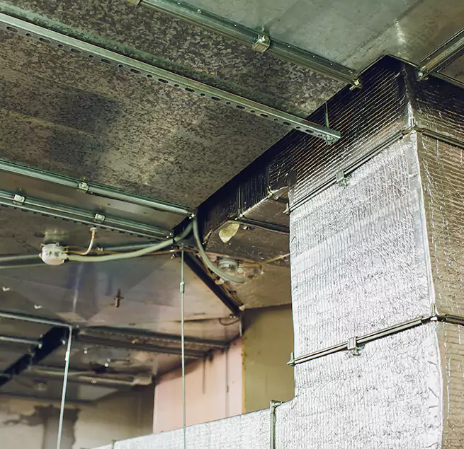 Why Homeowners & Businesses Trust Us in East Lake, FL?