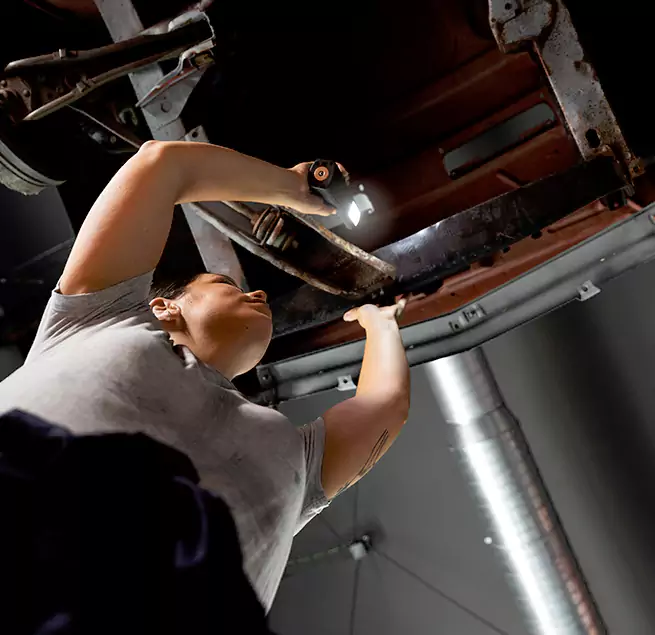 Why Homeowners & Businesses Trust Us East Lake, FL