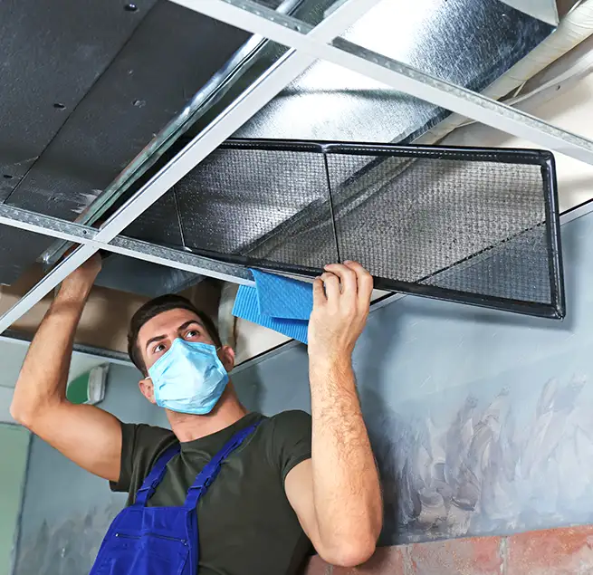 Why Homeowners & Businesses Trust Us in East Lake, FL?